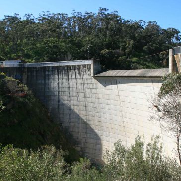 Sturt River Dam Geotechnical Core Sampling